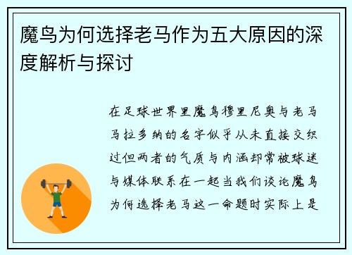 魔鸟为何选择老马作为五大原因的深度解析与探讨