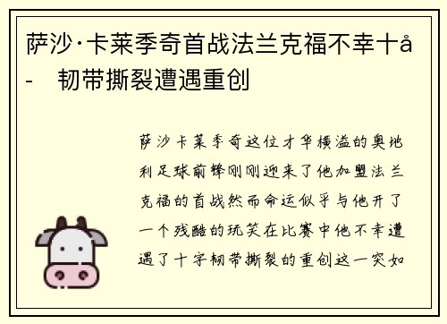 萨沙·卡莱季奇首战法兰克福不幸十字韧带撕裂遭遇重创